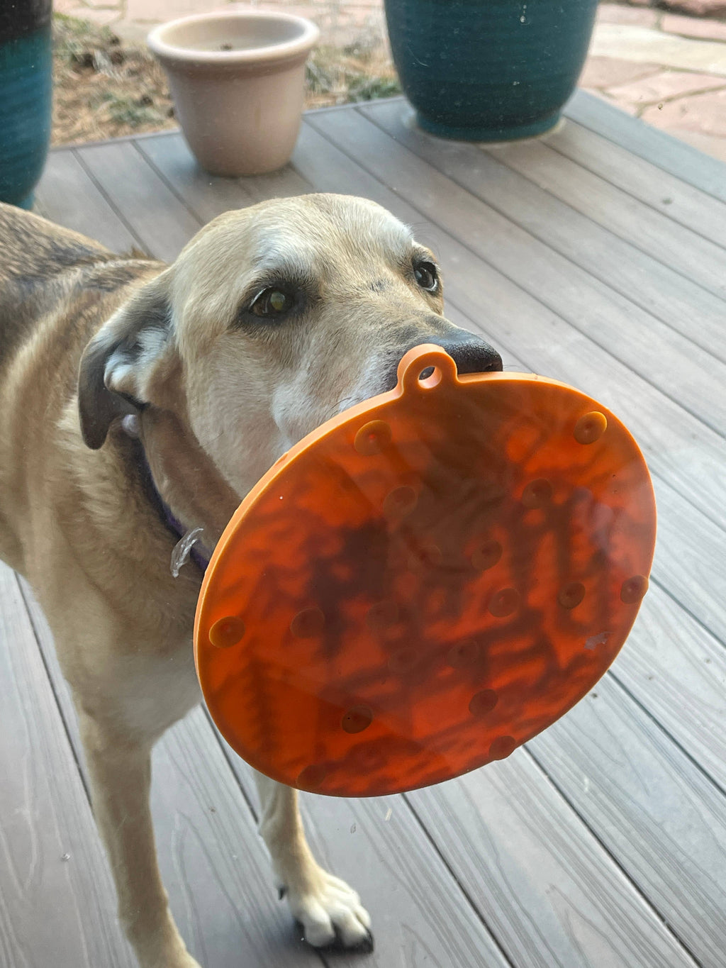 Camp eMat Enrichment Lick Mat With Suction Cups: Orange
